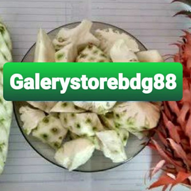 

Buah nanas muda kupas 350 gram