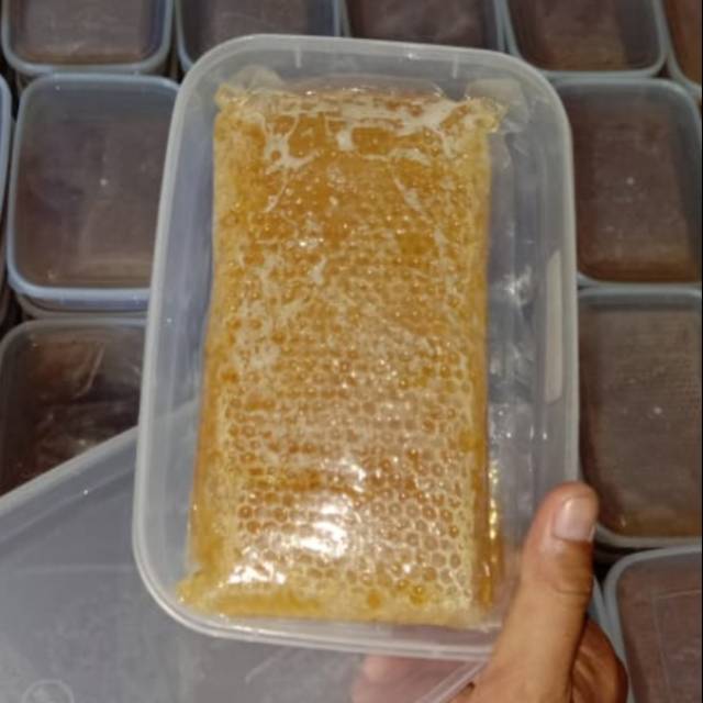 

Sarang madu