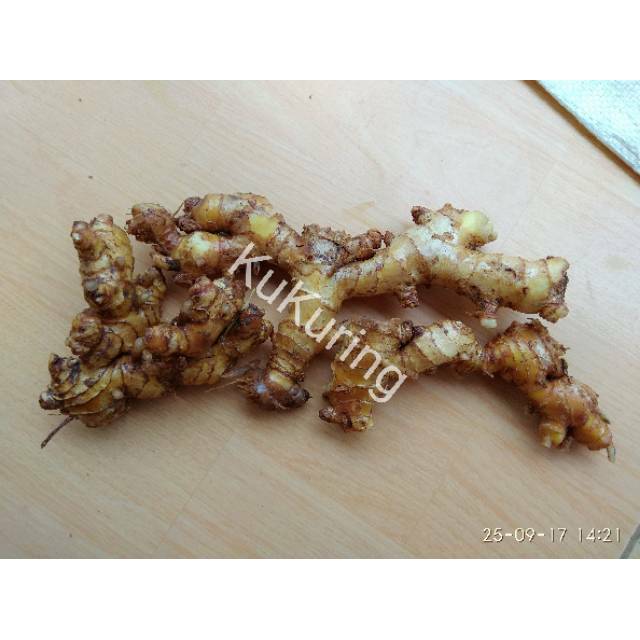 

KUKURING Lempuyang Lampuyang segar herbal 500gr