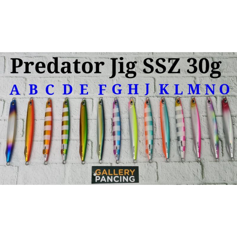 Metal Jig Predator Jig SSZ 30g