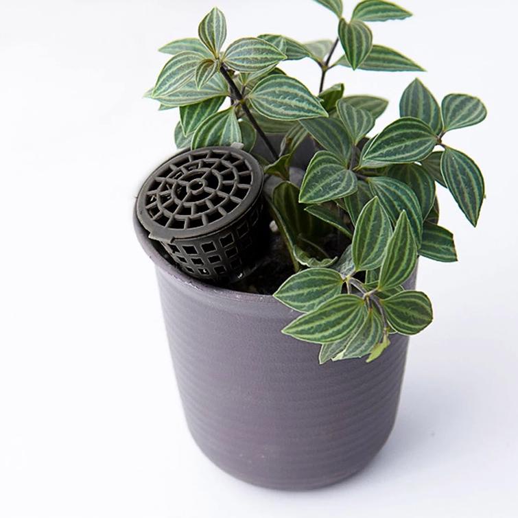 ♙ 50pcs tempat pupuk dekastar bonsai keranjang pupuk pot pupuk ❁