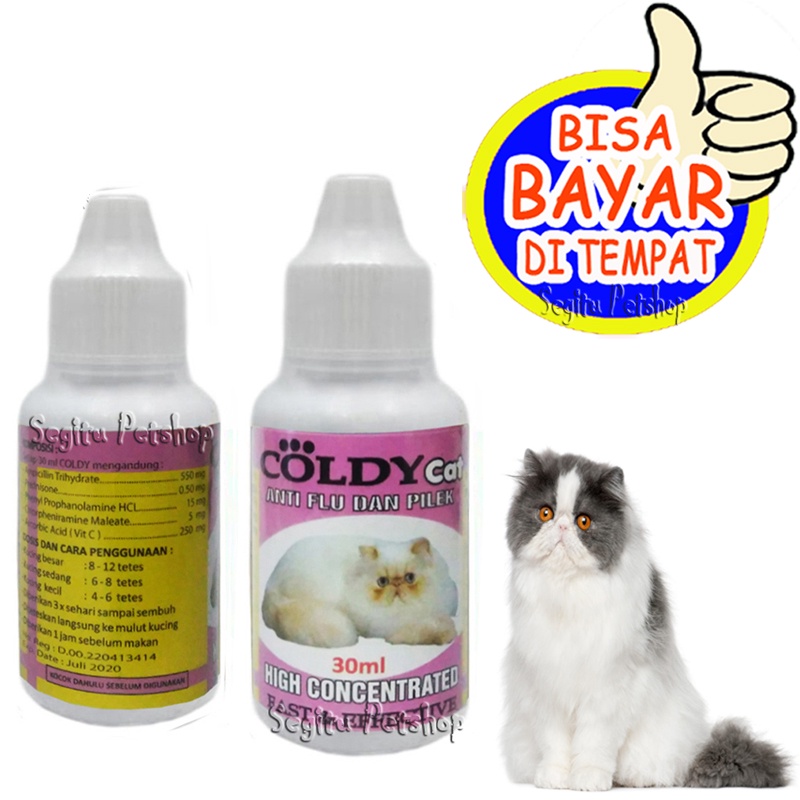 OBAT FLU KUCING PILEK BERSIN BERSIN COLDY