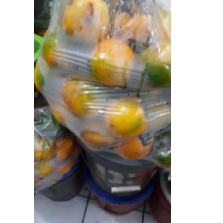 

[Stok banyak] ➼ TERONG ASAM KALIMANTAN / TERONG DAYAK ➼ Laris