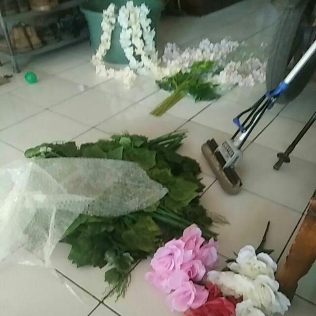 Wanflower Bunga Juntai Wisteria 2m * Champagne Muda