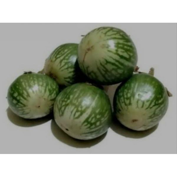 

TERONG BULAT (PER 500 GRAM)