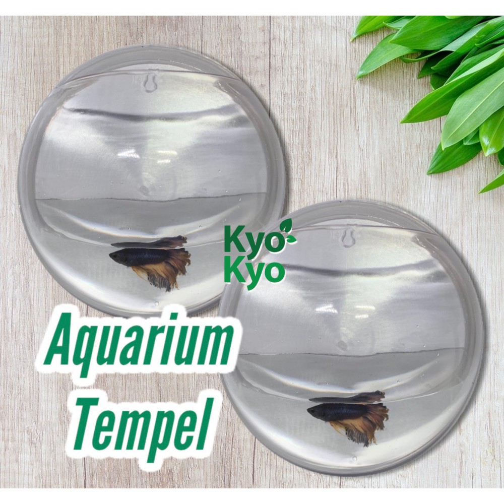 AQUARIUM GANTUNG DINDING TEMPEL Hanging Ikan Tanaman UNIK Murah