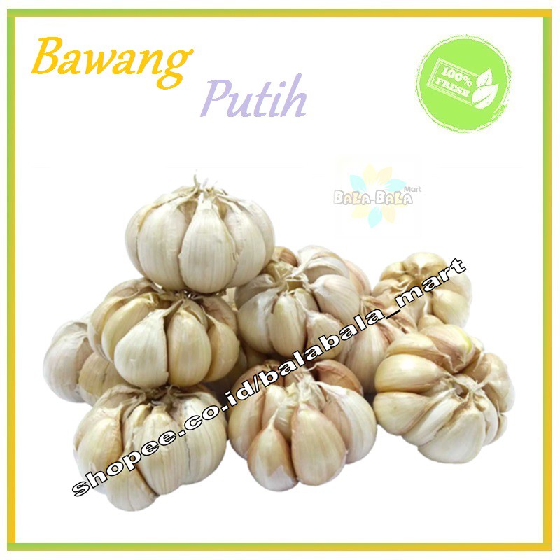 

BAWANG PUTIH / KATING / KUPAS