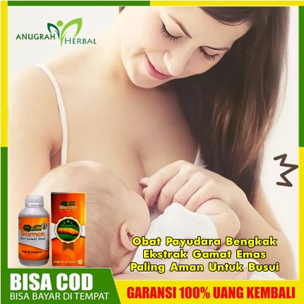 Obat Payudara Bengkak Ekstrak Gamat Emas Paling Aman Untuk Busui | Herbal Penghilang Pengempis Benjo