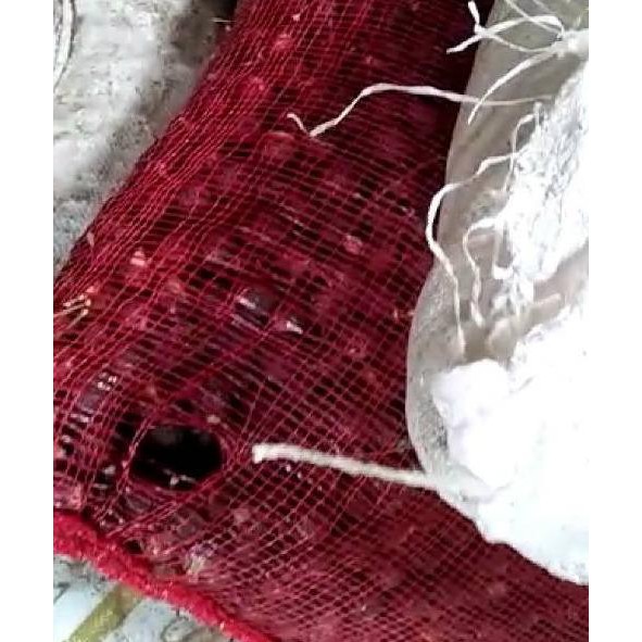 

Best Terlaris ZLL9C Biji Lerak Daging Tanpa Biji 1kg 94 Harga Termurah
