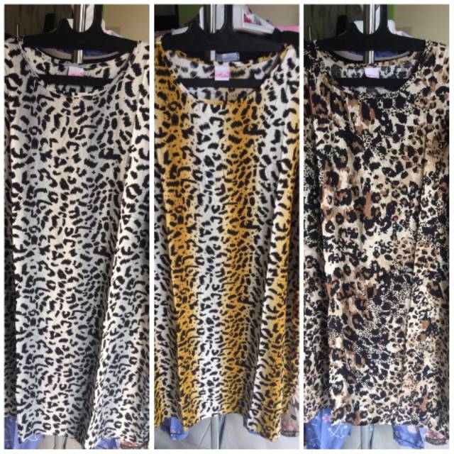 Daster Habel selutut