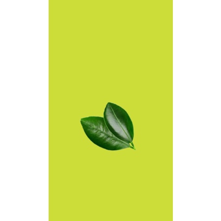

Daun jeruk 25 gram
