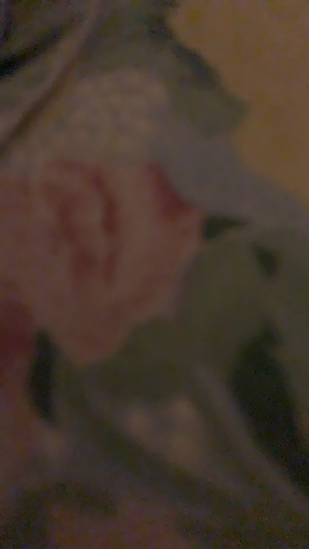 Gohappy Panci Swiss Granite Stone Isi 5 Piece | Premium Cookware Set | Ghs05