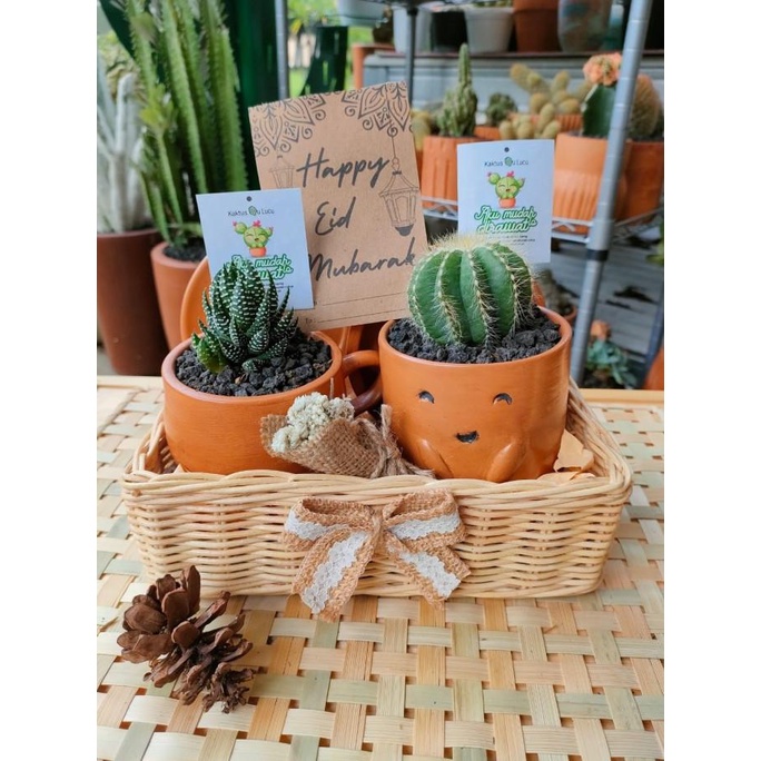

Hampers estetik lebaran/anniversari/ulang tahun/kaktus dan pot unik