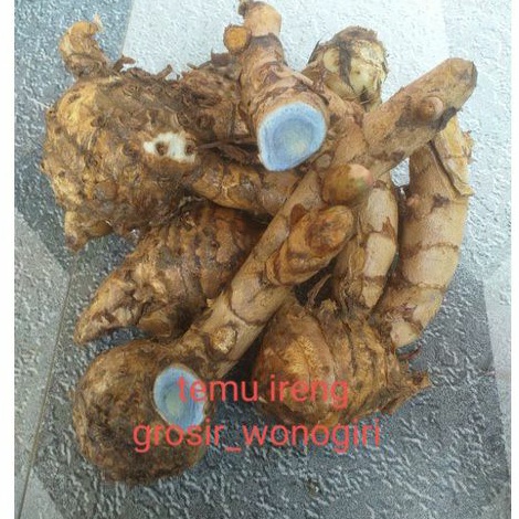 

TEMU IRENG 1KG SEGAR - TEMU HITAM