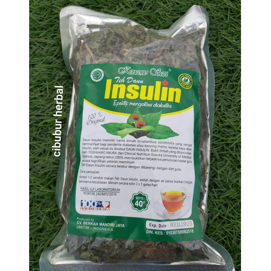 

Teh Daun Insulin Obat Herbal Alami Diabet Diabetes Asli Original