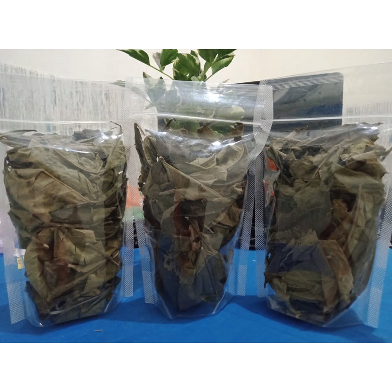 

Daun Sungkai
