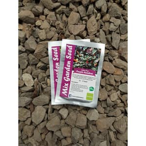 BENIH CABAI HIAS PURPLE RAINBOW