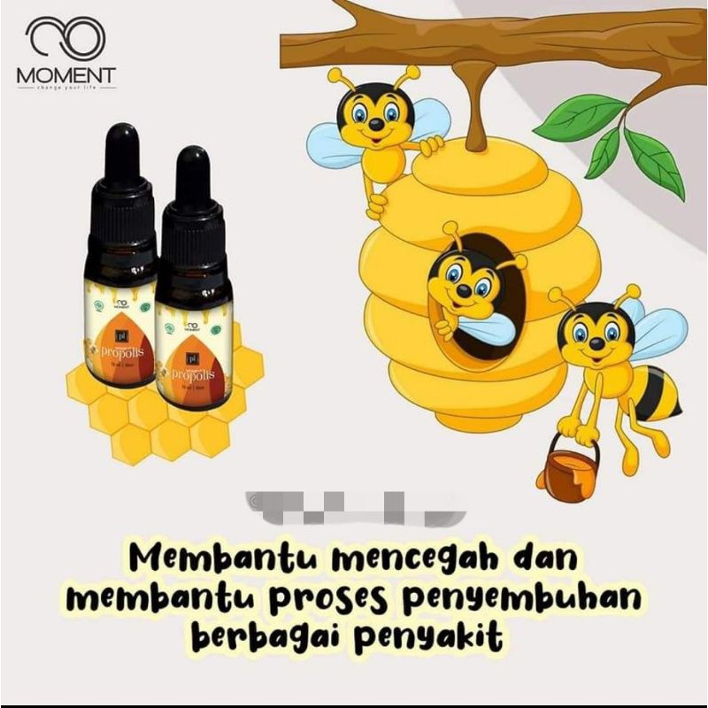 MOMENT PROPOLIS ANTIBIOTIK HERBAL ALAMI JAMINAN 1000% ORIGINAL