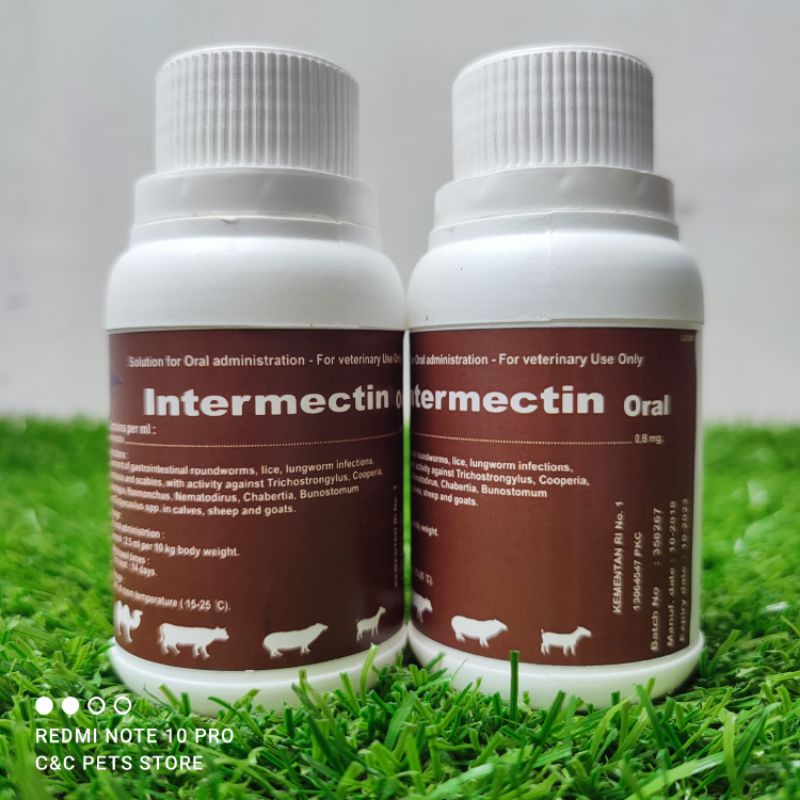 Intermectin Oral 100 ml obat scabies/gudik untuk hewan peliharaan