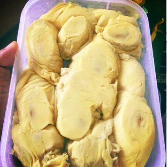 

Durian Sidikalang Medan