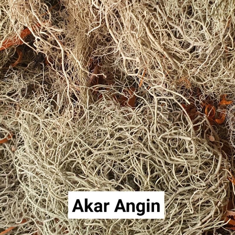 

100 Gram Akar Angin | Kayu Angin