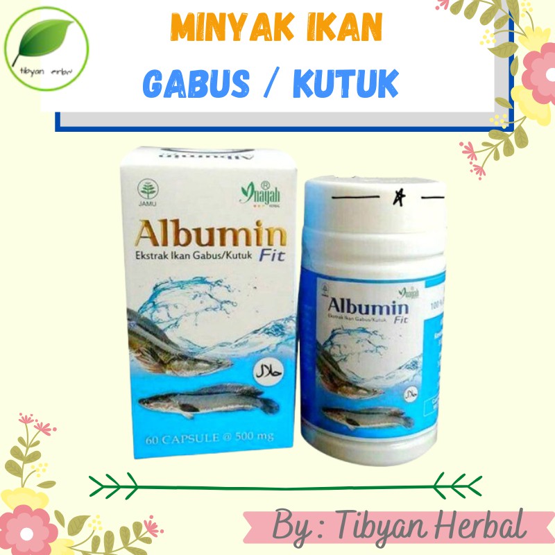KAPSUL MINYAK IKAN GABUS / KAPSUL KUTUK / KAPSUL IKAN GABUS / KAPSUL IKAN KUTUK / EKSTRAK ALBUMIN