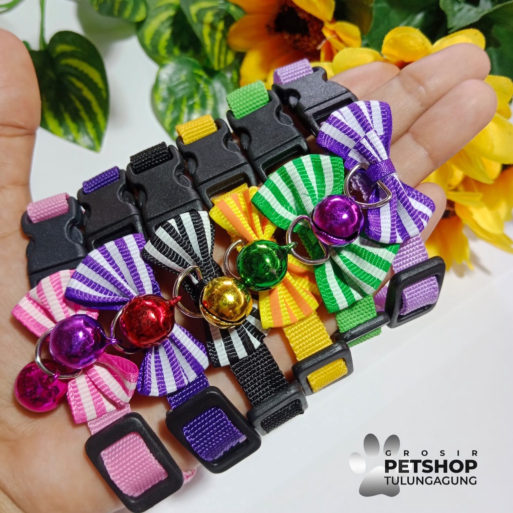 Kalung Kucing Anjing Polos Pita Stripe 1 Lonceng 10ml