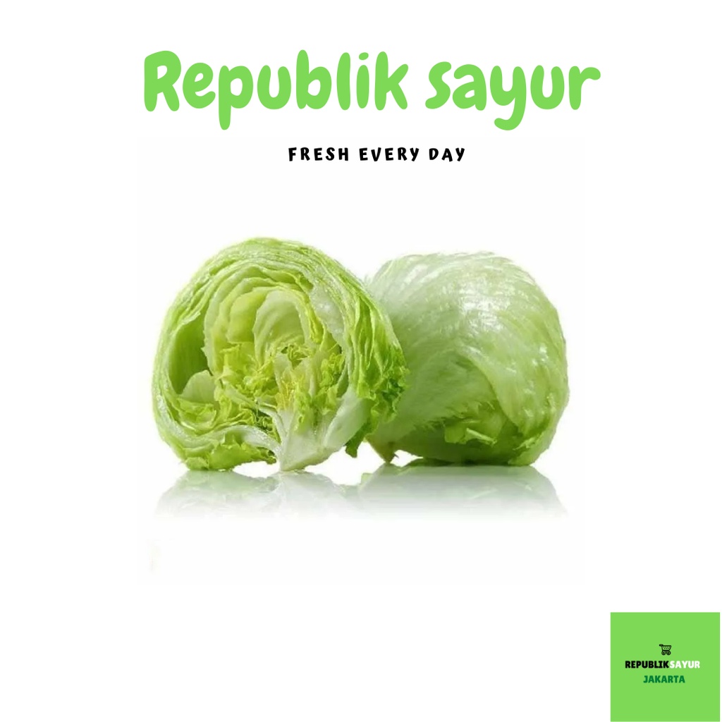 

Selada Bulat/Lettuce Head Segar 1 Pcs
