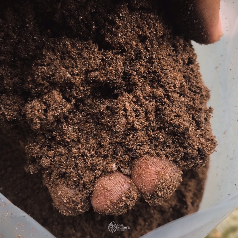 Bat Guano - Kotoran Kelelawar Murni