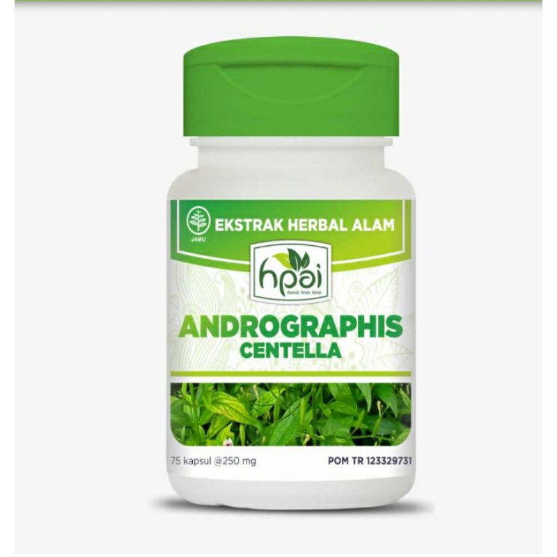 

andrografis