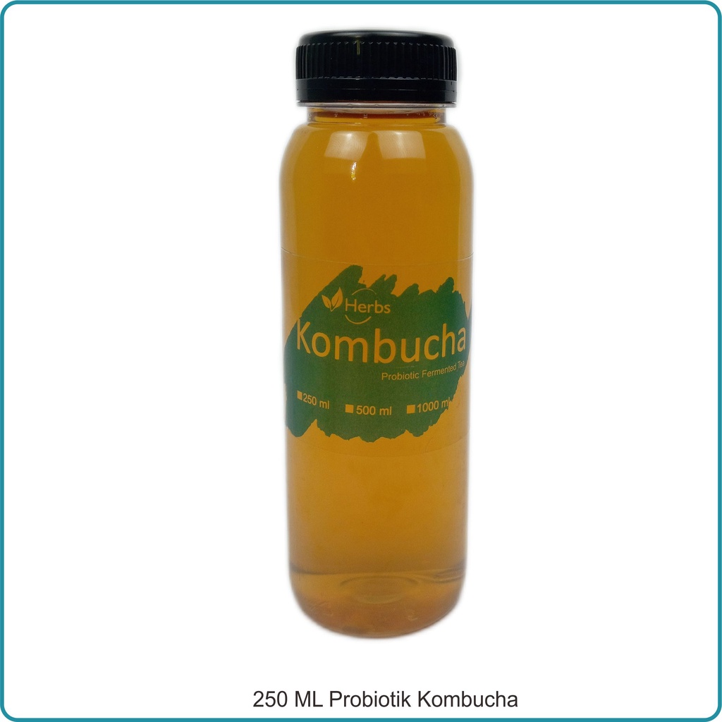 

Probiotik Kombucha dan Apple Vinegar