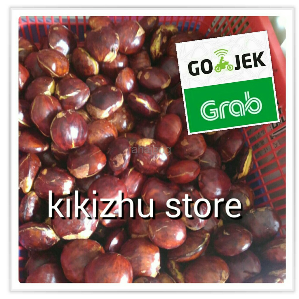

jengkol tua 1 kg