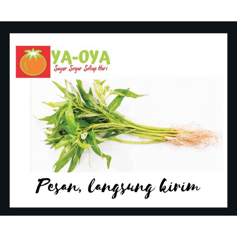 

SAYUR SEGAR KANGKUNG 2 IKAT