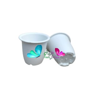 Pot Cactus 10 Nkt Warna Putih Hijau Pink Biru Hijau Coklat Ungu Merah Kuning Pot Kaktus Nkt Tanaman