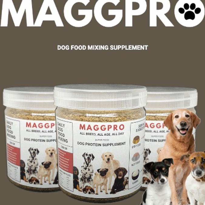 ORIGINAL Protein Anjing MAGGPRO #supplemenanjing Murah