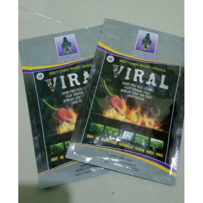 ✔️COD BENIH CABAI RAWIT VIRAL REPACK || BENIH BIBIT SAYURAN CABAI RAWIT VIRAL