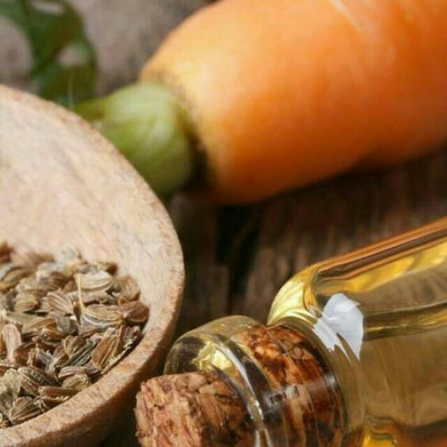 

Minyak Wortel, Biji / Carrot Seed Oil
