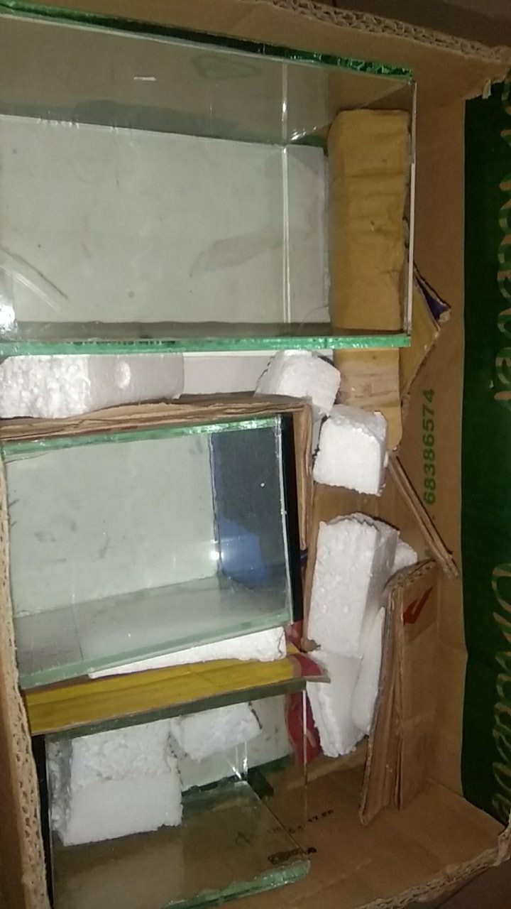 [termurah]soliter Cupang Harga Murah |setiap Pembelian Bonus Sekat|packing Kardus Tebal