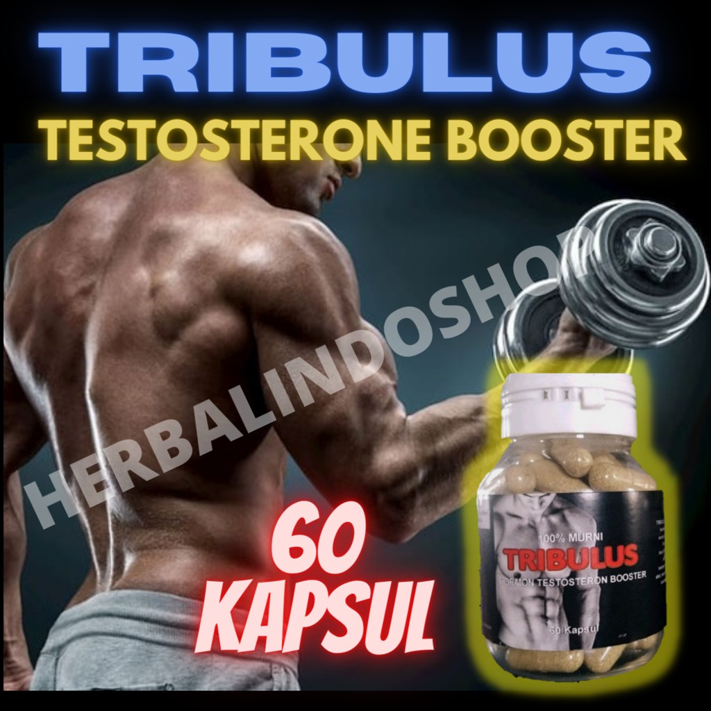 TRIBULUS TERRESTRIS - SUPLEMEN FITNES PEMBENTUK OTOT - TESTOSTERON BOOSTER - FITNESS
