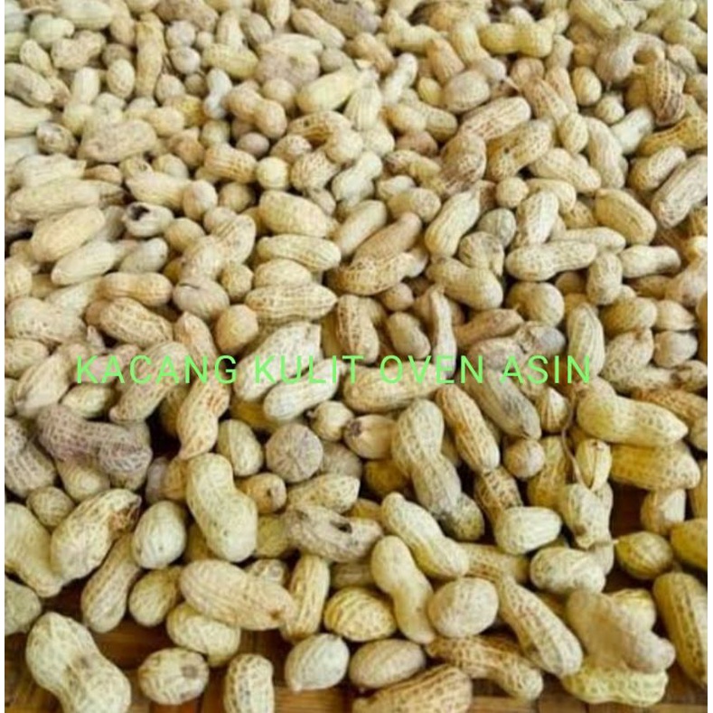 

KACANG KULIT OVEN ASIN 250Gr