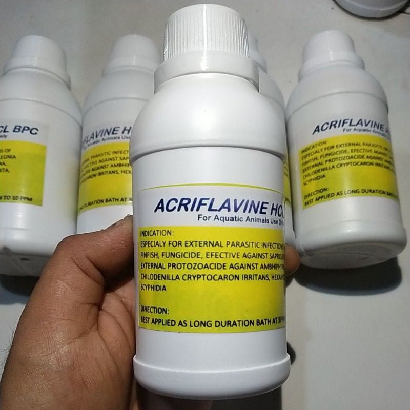 Acriflavine Hcl 250ml Obat jamur//Obat Luka(untuk Cupang,Louhan,Arwana,pbass,Koki &kan hias)