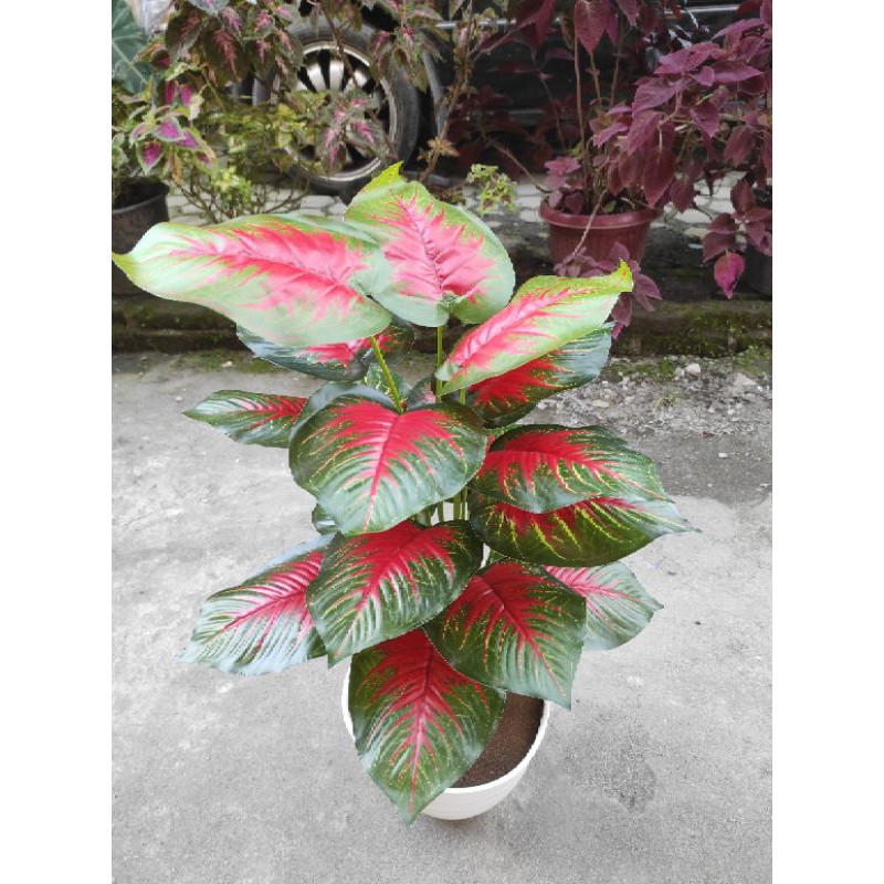tanaman dan pot / talas imitasi keladi artificial  bunga keladi jumbo palsu