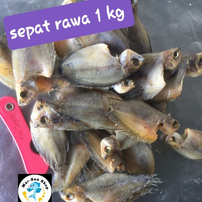 

ikan asin sepat rawa 1 kg