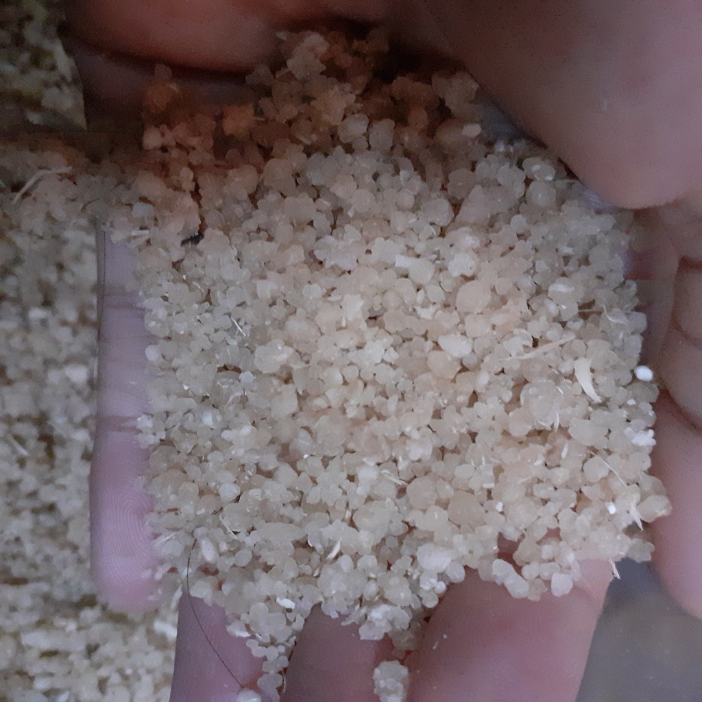 

oyek | nasi singkon mentah berat 500 gram