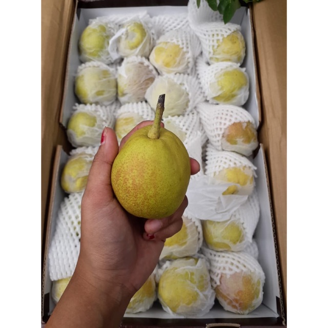 

Pir Xiangly 500gr