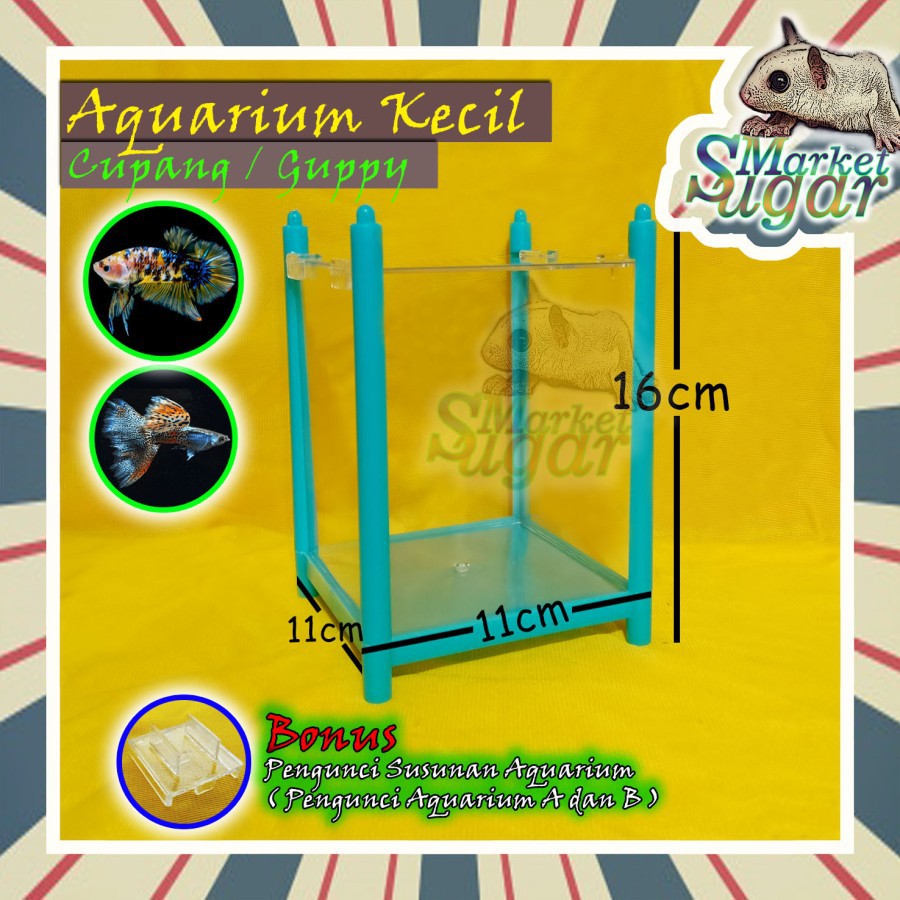 AQUARIUM MINI IKAN CUPANG-GUPPY-IKAN KECIL