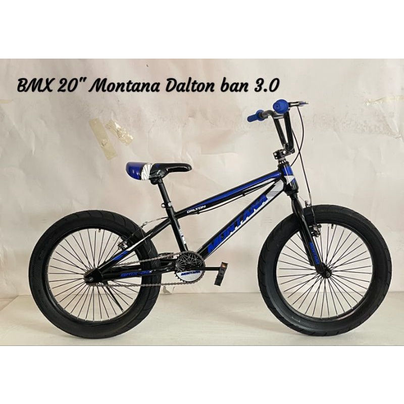 √ MURAH SEPEDA BMX ANAK COWOK 20 INCH PHOENIX STAR BAN JUMBO 3.0 MURAH BARU ANAK SNI