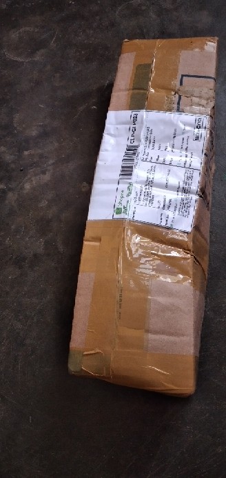 Tanaman Hias Dianthus Atau Anyelir Merah Murah