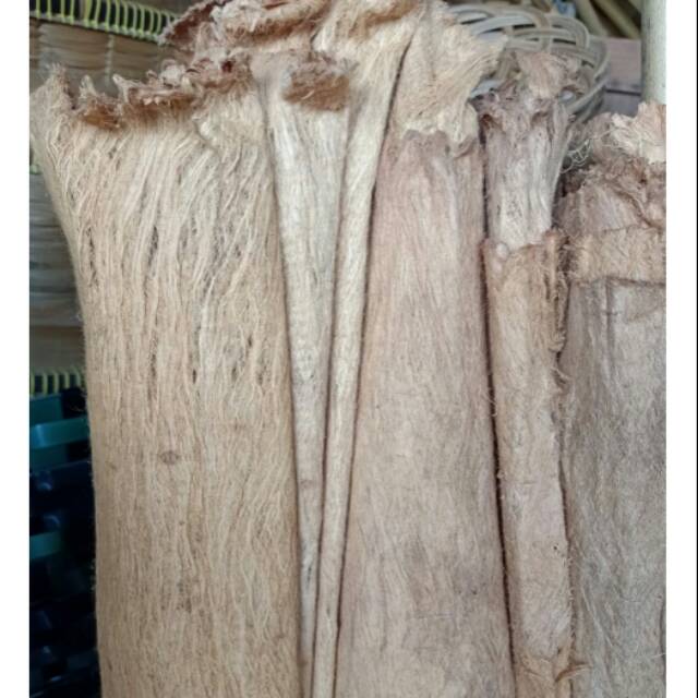 Kulit kayu / kayu lantung 1 lembar