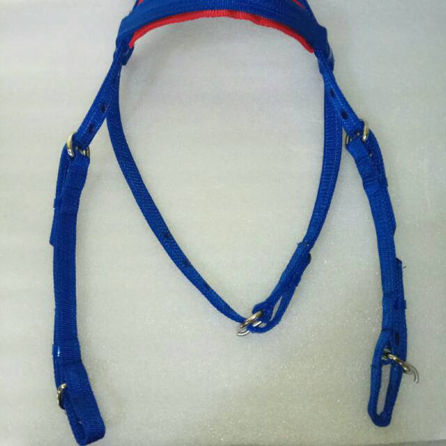 Sarung Kendali Kuda(Bridle)